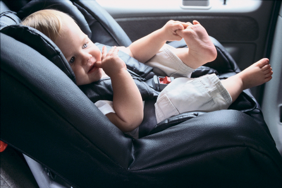 Download Cook County Car Seat Program Free